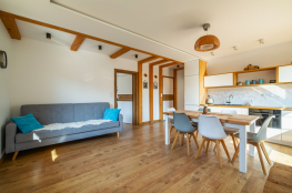 Muszyna Nocleg Apartament HARLEY STYLE APARTAMENT